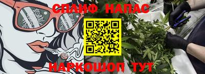 индика Кандалакша