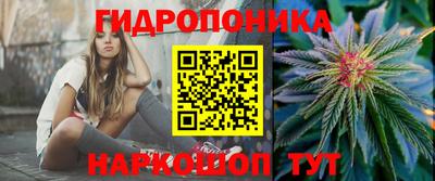 мдпв Камышлов