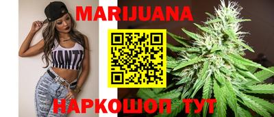 мдпв Камышлов