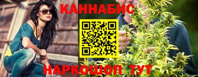 мдпв Камышлов