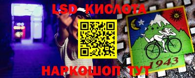 индика Кандалакша