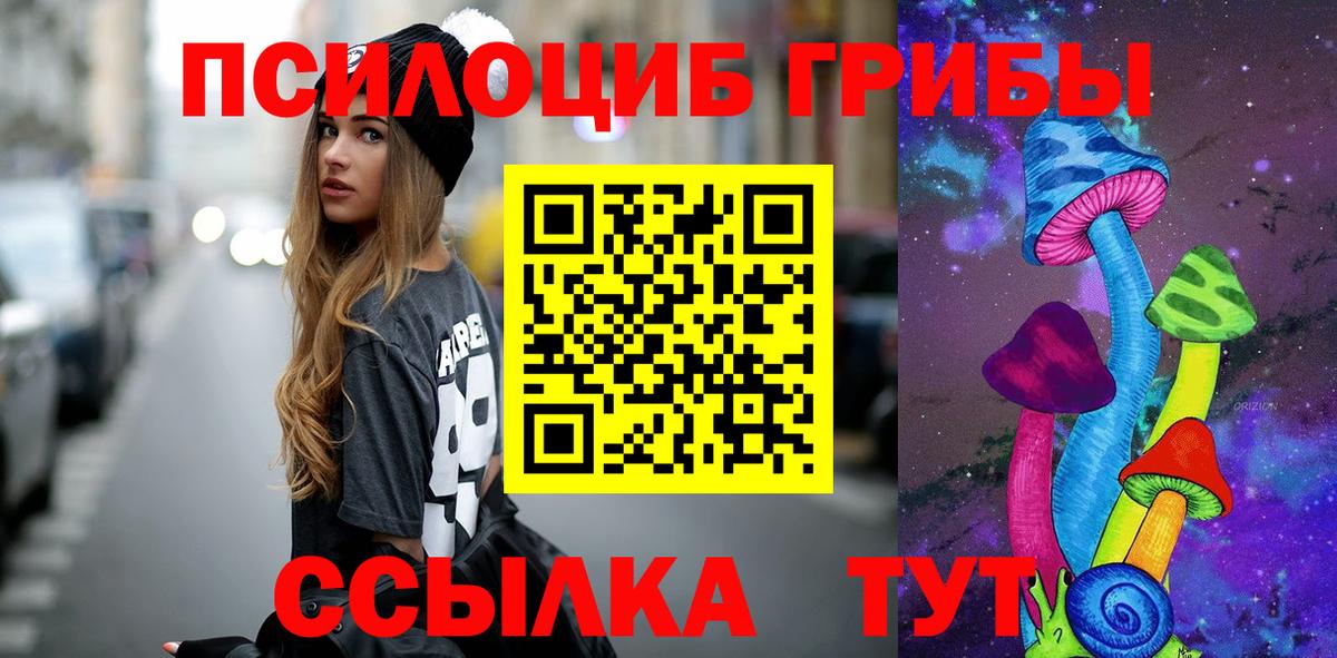 Галлюциногенные грибы Psilocybe Кызыл